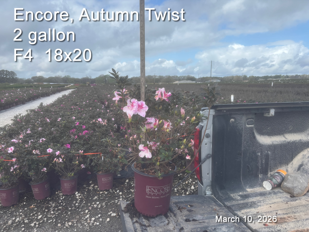 gallery/etwt2 f4 mar10.jpg